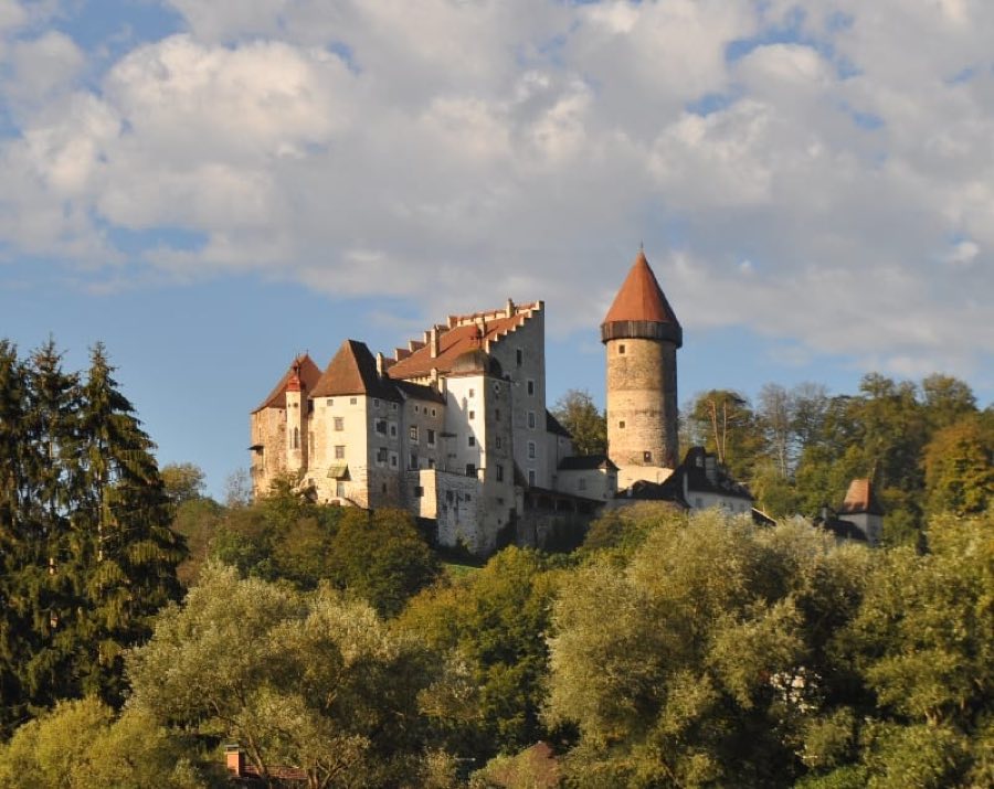 Burg Clam image
