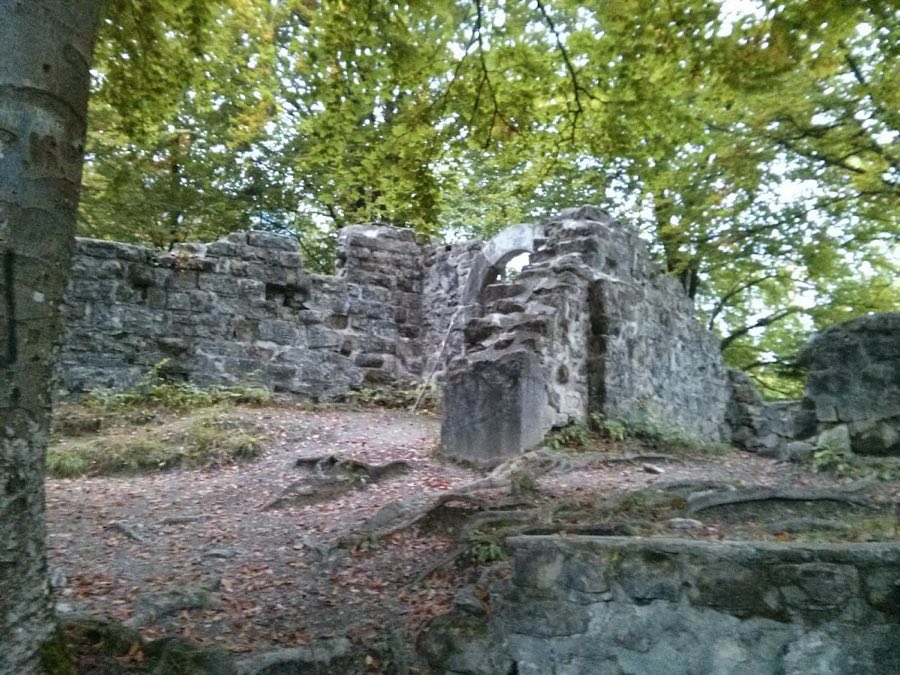 Burg Friesenberg image