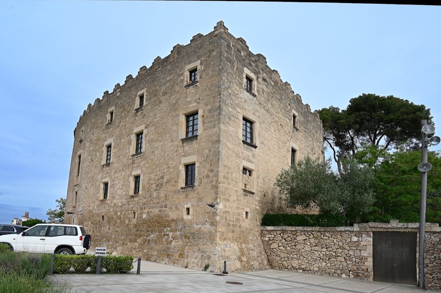 Castell de la Torre de Claramunt image