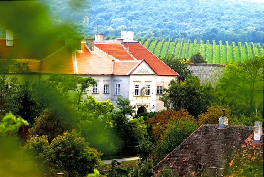 Schloss Mailberg image