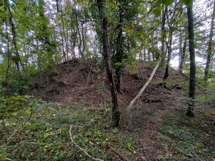 Burg Hirschberg image