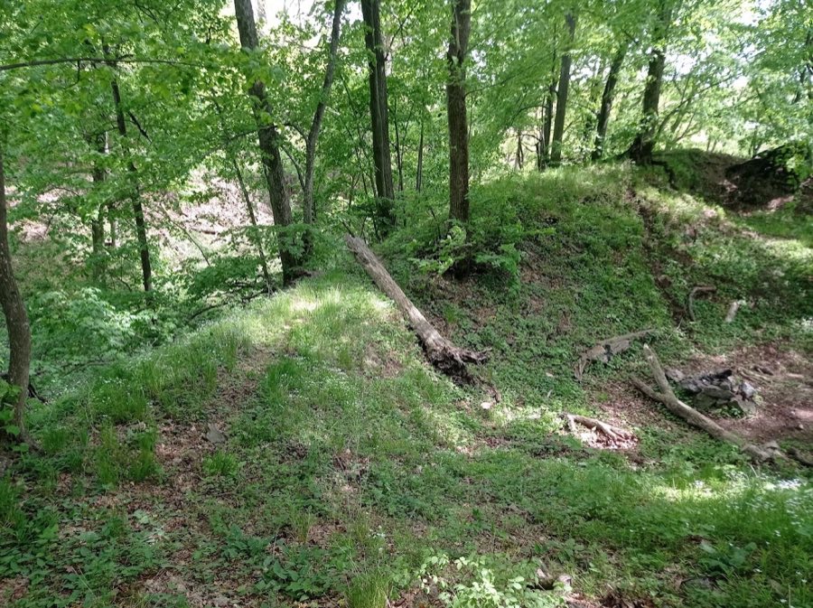 Bukovina Castle image