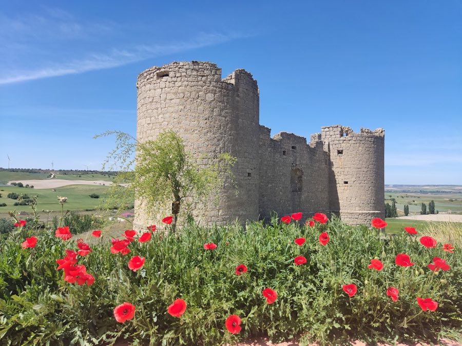 Castle of Hornillos de Cerrato image