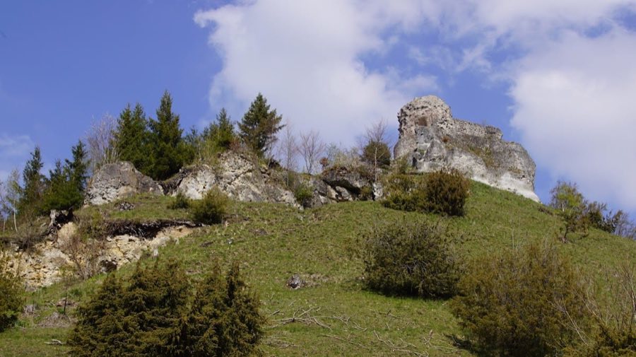 Burg Schenkenstein image
