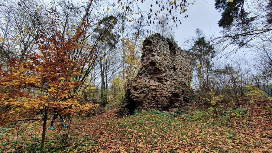 Víckov Castle image