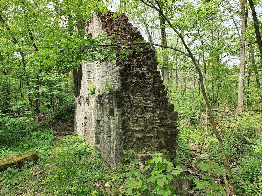 Burg Seldeneck image