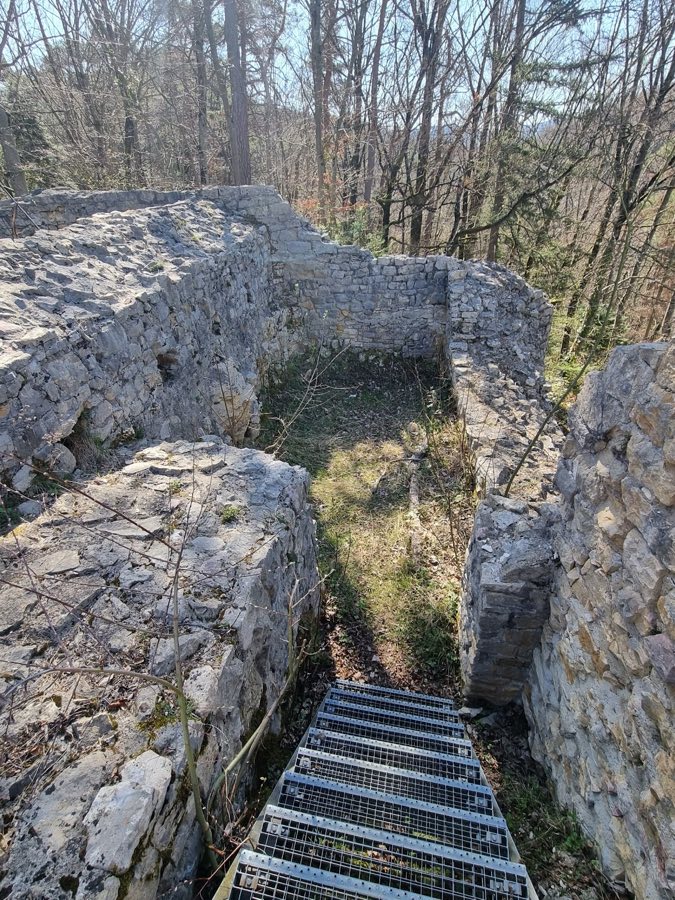 Scheidegg Castle Ruins image