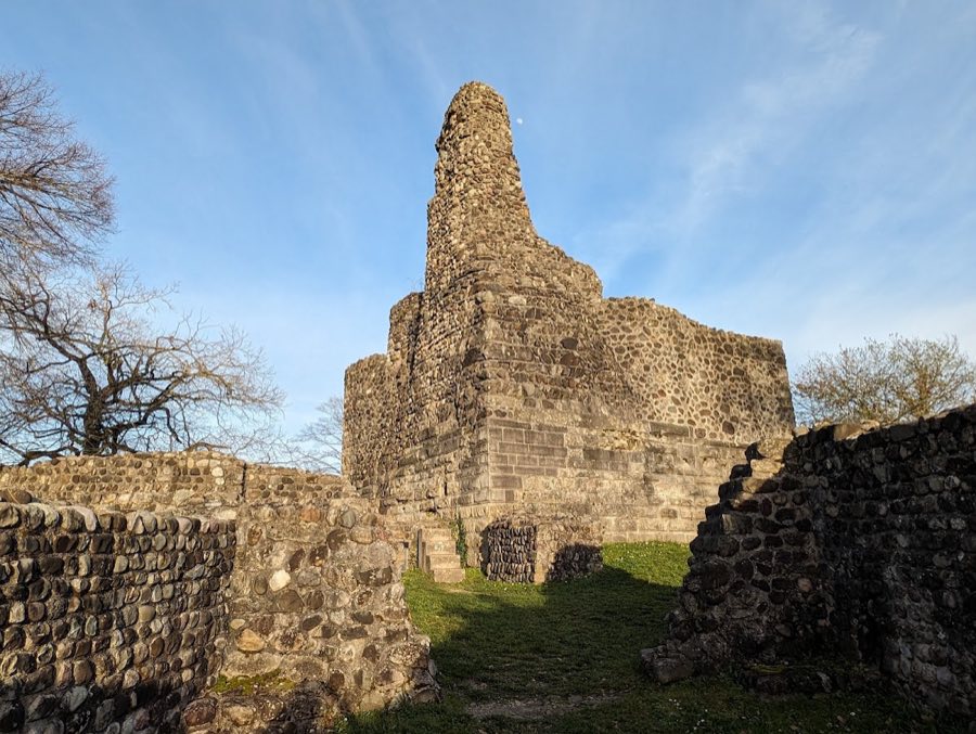 Alt-Regensberg Castle, Regensdorf image