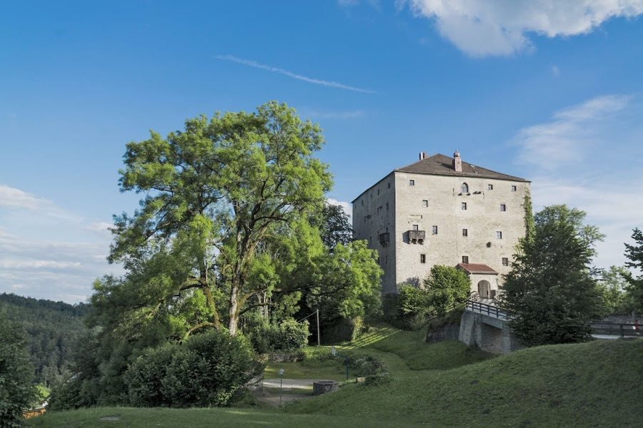 Burg Saldenburg image