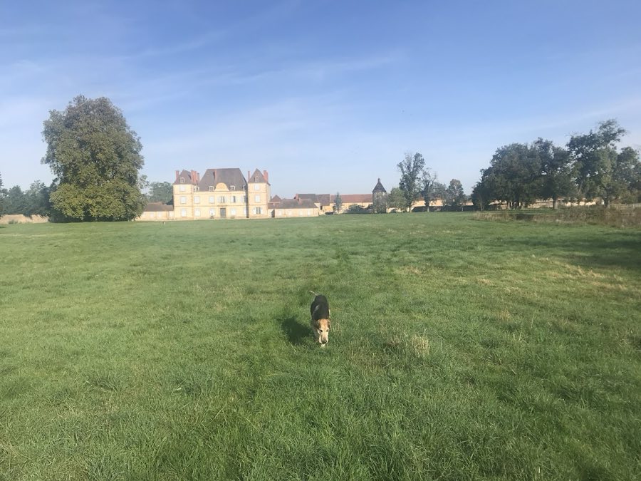 Château de Selore image