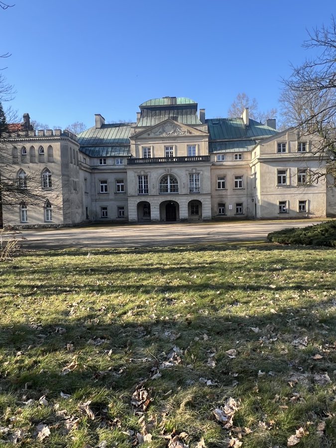 Turew Palace image