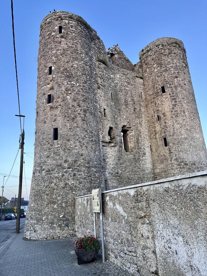 Nugent Castle, Delvin image