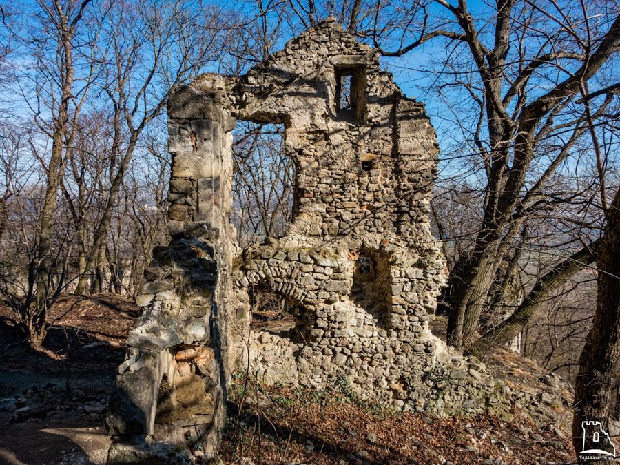 Pottenburg Castle image