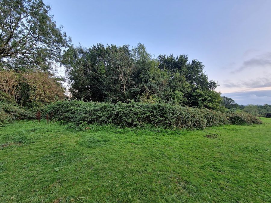 Twmpath Motte, Brynteg image