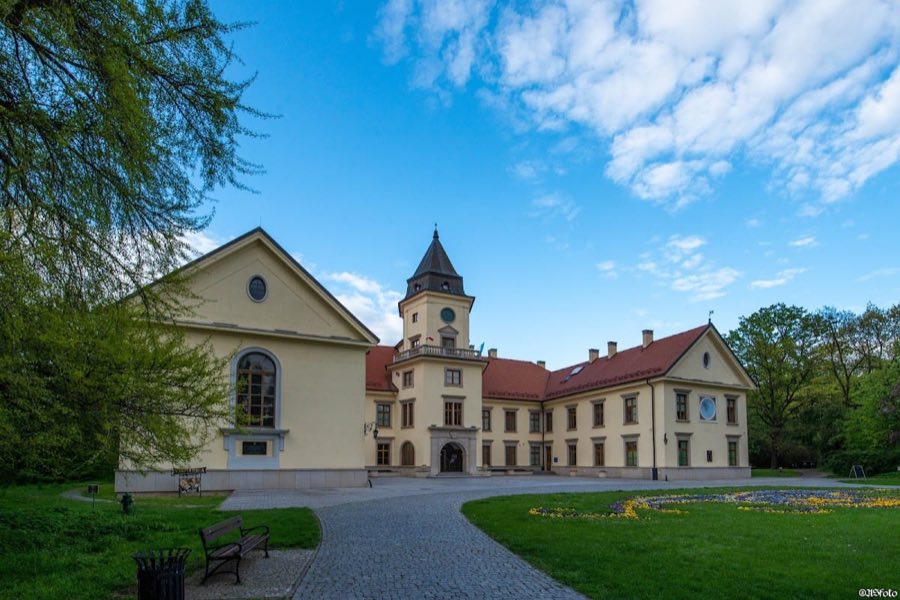 Dzik贸w Castle image