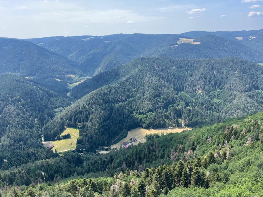 Burg Althornberg image