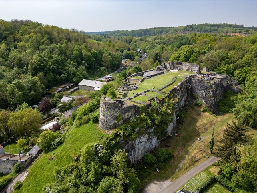 Château de Moha image