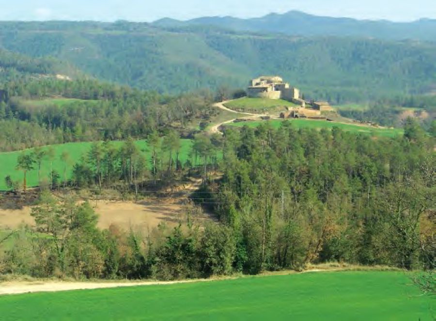 Castell de Tornamira image