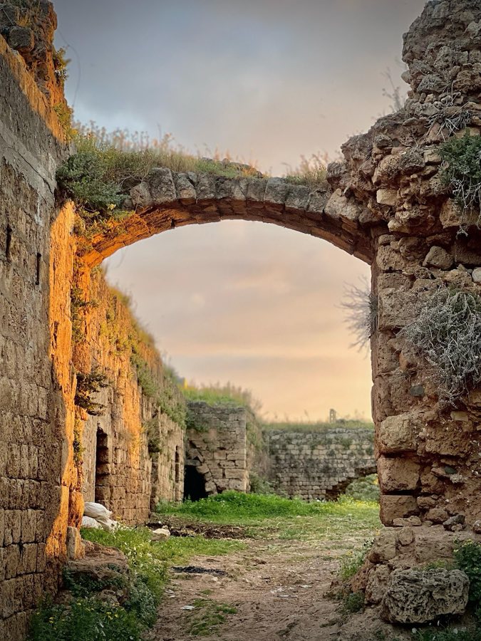 Coliath (Qlayaat) image