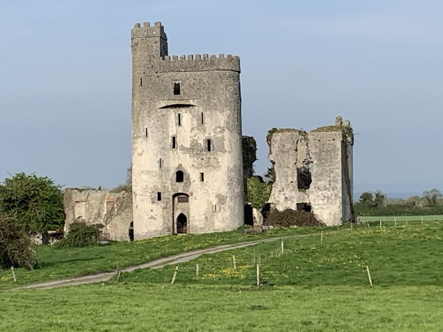 Ballyadams Castle image