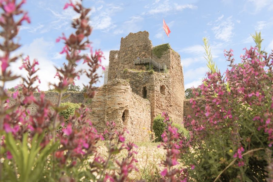 Château de Talmont image