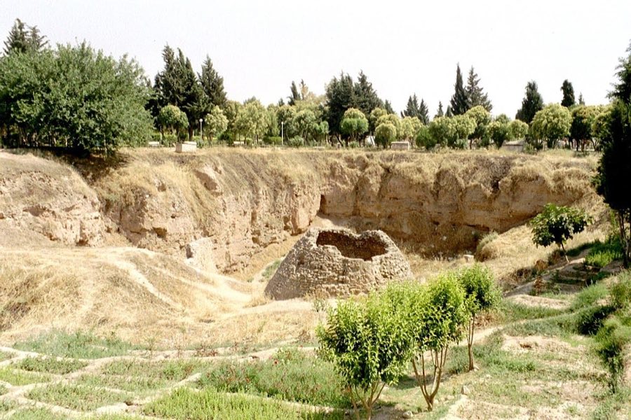 Hama Castle image