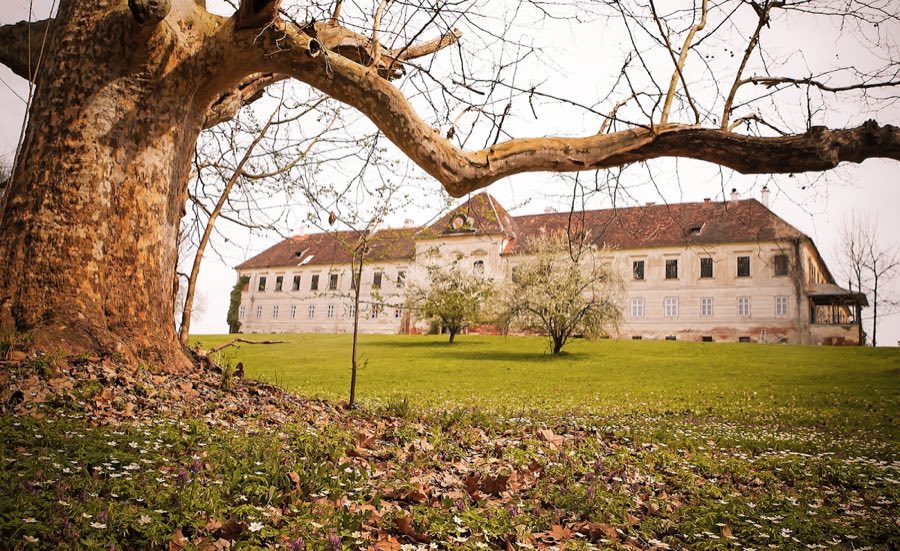 Schloss Kohfidisch image