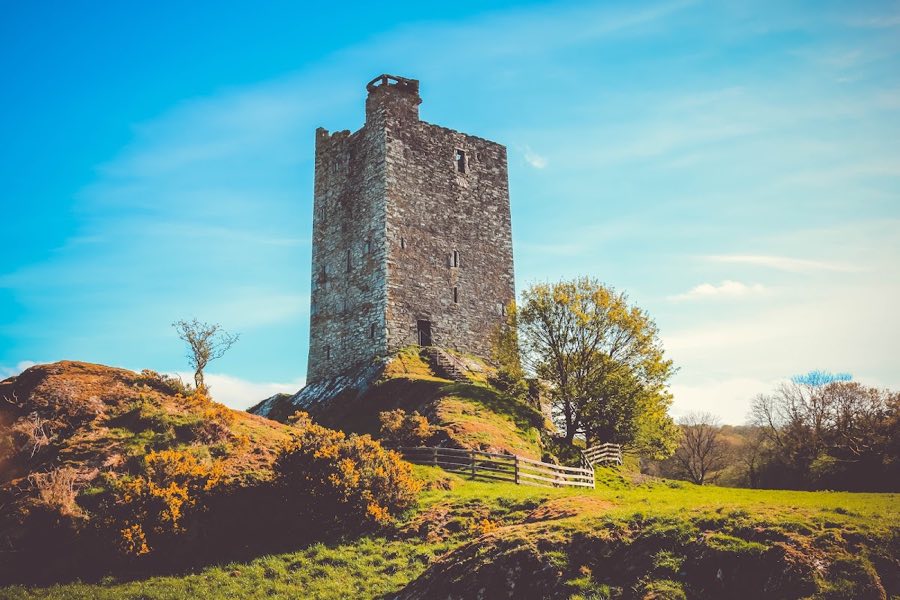 Carrigaphooca Castle image