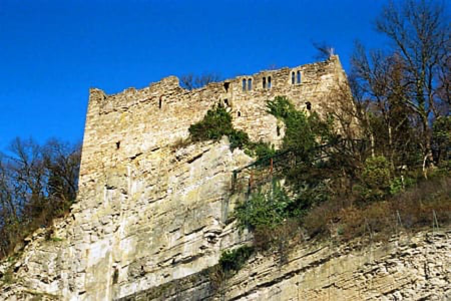 Burg Löffelstelz image