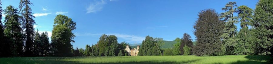 Castello di Miradolo image
