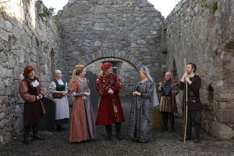 Dalkey Castle image