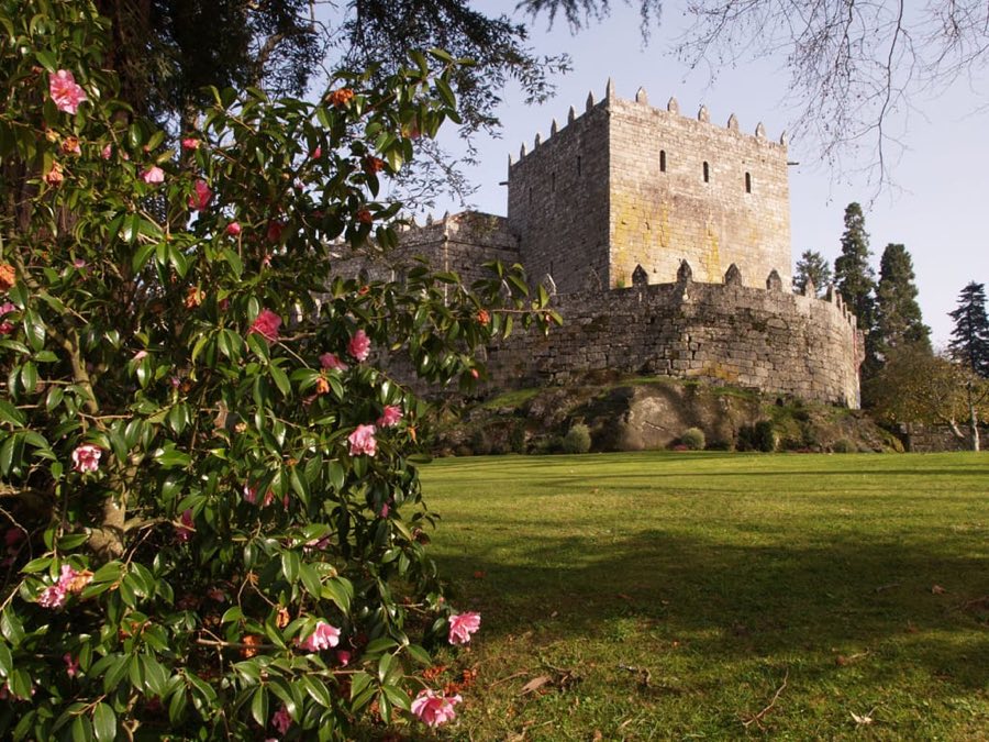 Castle of Soutomaior image