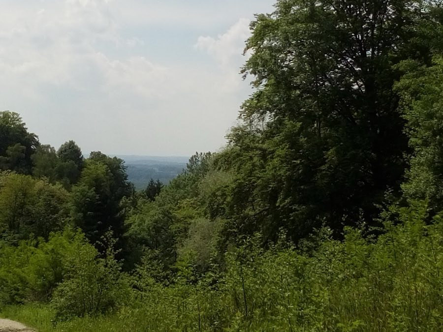 Burg Haunsperg image
