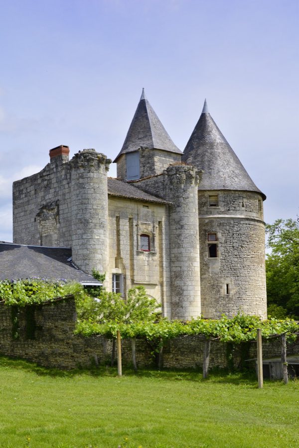 Château du Chillou image
