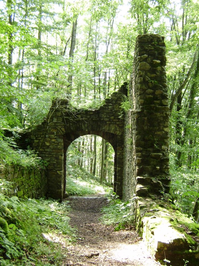 Burg Lichtentann image