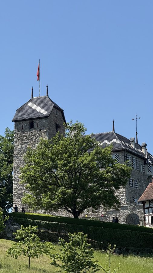 Castle Buonas image