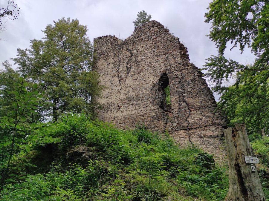 Pajrek Castle image