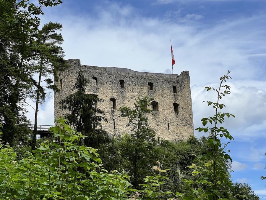 Gilgenberg Castle Ruin image