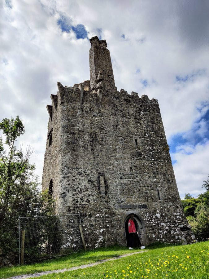 Dromore Castle image