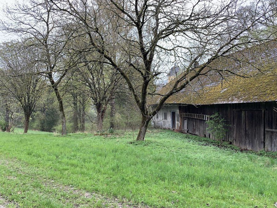 Wasserschloss Freiling image