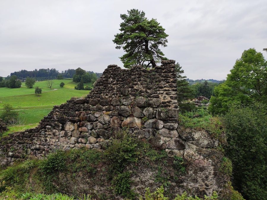 Alt-Wädenswil Castle image